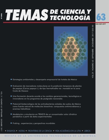 Revista Temas Nmero 63