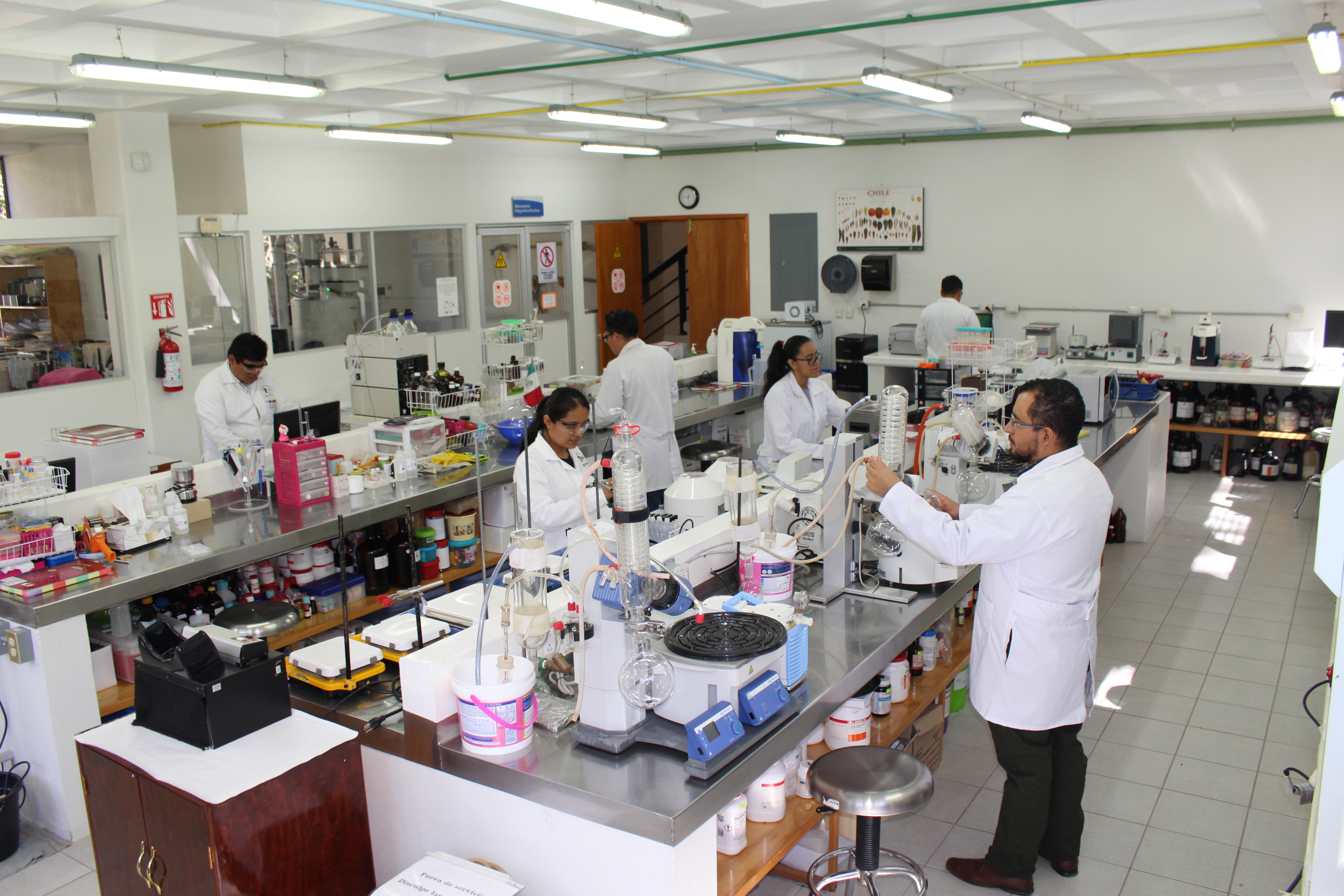 Ingeniería en Qu&imica